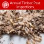 Annual Termite Inspection