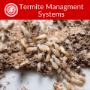 Termite Management System