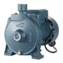 Centrifugal Pumps