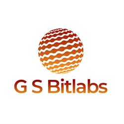 G S Bitlabs