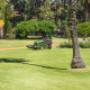 Lawn Mowing