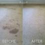 Carpet Steam Cleaning