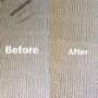 Carpet Steam Cleaning