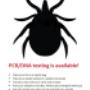 Medical Laboratory Testing