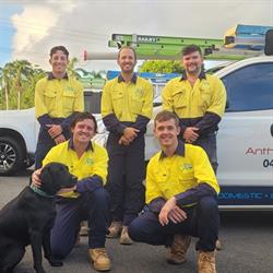 ADP Electrical