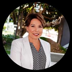DV LAWYER
