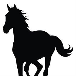 Wagga Horse Agistment & Spelling