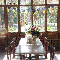 Phoenix Park Cafe