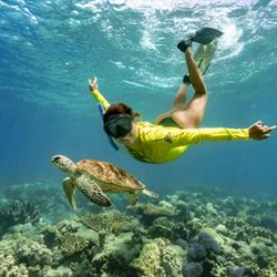 Ocean Safari