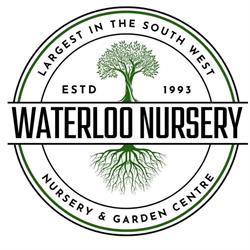 Waterloo Nursery