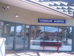 Allison Crescent Veterinary Hospital