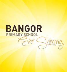 Bangor Public School