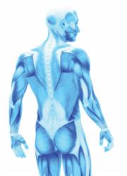 MyoTherapeia