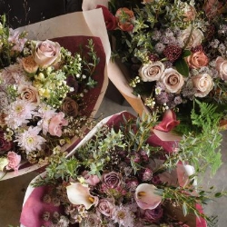 Dragonfly & Magnolia Florist