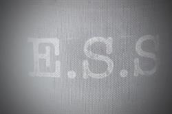 E.S.S (ESS LABORATORY, ESS GUERRILLA)