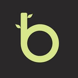 thelittlebigbamboo