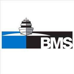 BMS