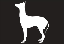 BLACK XOLO FILMS