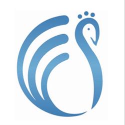 Peacock Accounting Services Pty Ltd