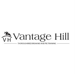 Vantage Hill