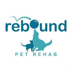 Rebound Pet Rehab