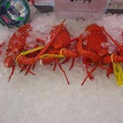 Lucky's Freshest Seafood