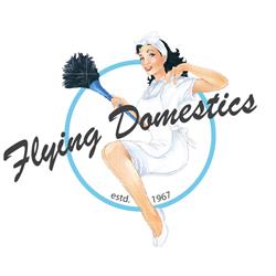 Flying Domestics