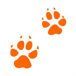Dingo Trails - Neoprene Seat Covers