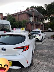 Panda Driving School