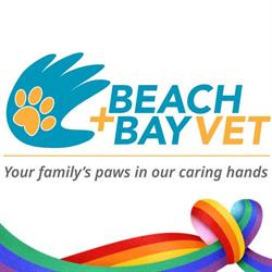 Beach and Bay Vet