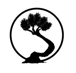 Joshua Tree - Petersham Presbyterian