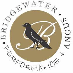 Bridgewater Angus