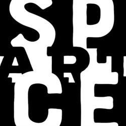 The Art Space