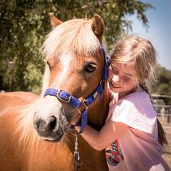 Dr.Traci Coventry, Clinical and Equine Assisted Psychology