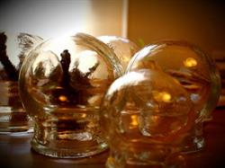 To the Point Acupuncture and Chinese Medicine