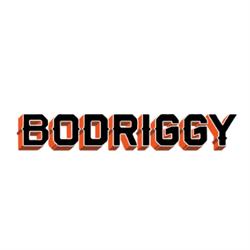 Bodriggy Brewing Co