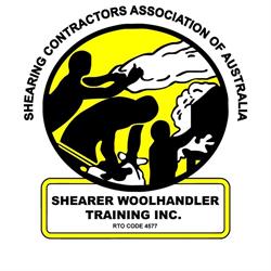 Shearer Woolhandler Training