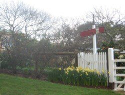 Trains for the Garden