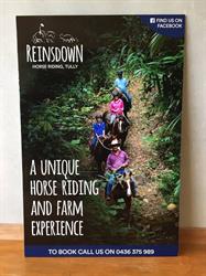 Reinsdown Horse Riding,Tully