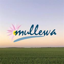 Mullewa Visitor Information Centre