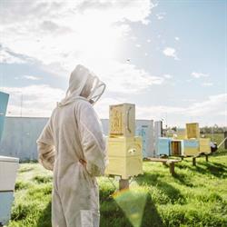 Bee One Third Pty Ltd