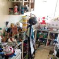Where does my rubbish go