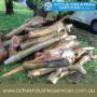 Tree Lopping - Active Industries Services