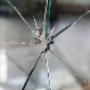 Glass Repair Ipswich