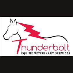 Thunderbolt Equine Veterinary Services