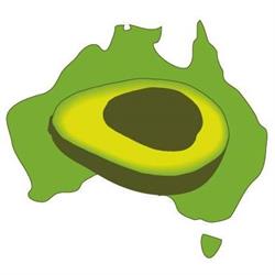 Avocados Australia