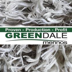 Greendale Merinos