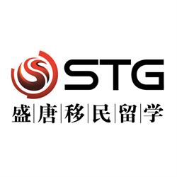 STG International Service Group