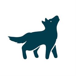 Wolf on Watton