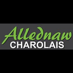 Allednaw Charolais